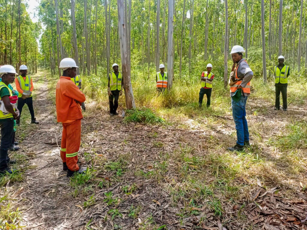 Forestry workers participating in field training at the CMO Forestry Training Centre in Manica Province, Mozambique