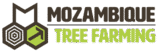 Mozambique Tree Farming