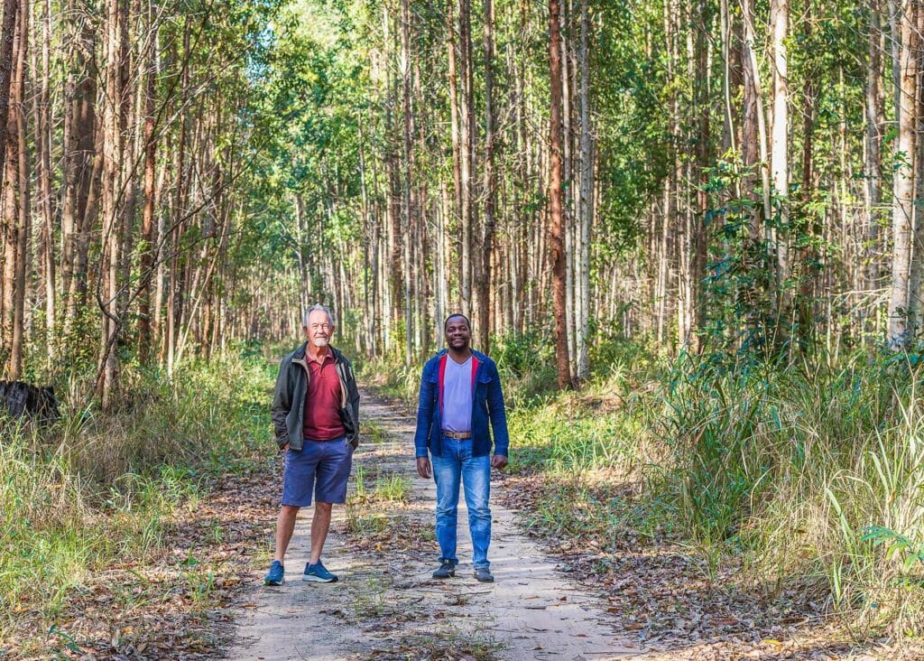 MTF CEO and IFM general manager in the eucalyptus plantations in Galinha