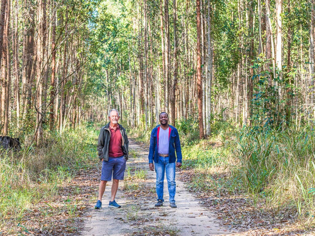 MTF CEO and IFM general manager in the eucalyptus plantations in Galinha