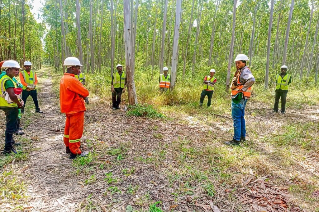 IFM forestry workers participating in field training at the CMO Forestry Training Centre in Manica Province Mozambique