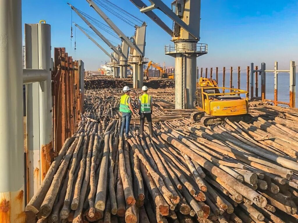 Moz Fibra's pulp wood logs being loaded onto a ship in Beira Port for export to Portugal
