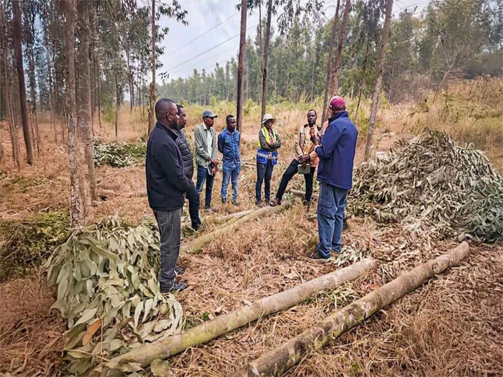 Managers in the plantations for management systems training in Gondola, Manica Province, Mozambique.