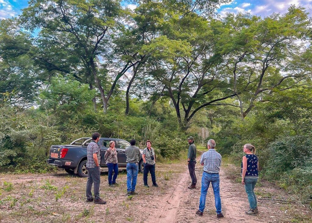 IFM Microforest site visit to riparian zones at Galinha plantations Sofala Province Mozambique