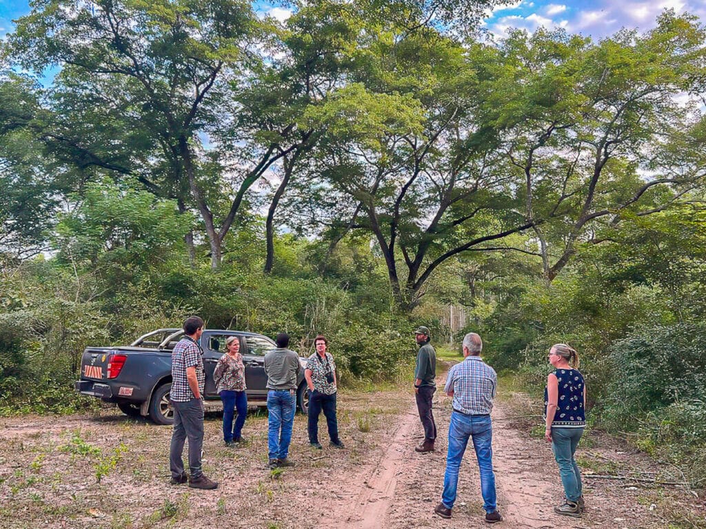 IFM Microforest site visit to riparian zones at Galinha plantations Sofala Province Mozambique