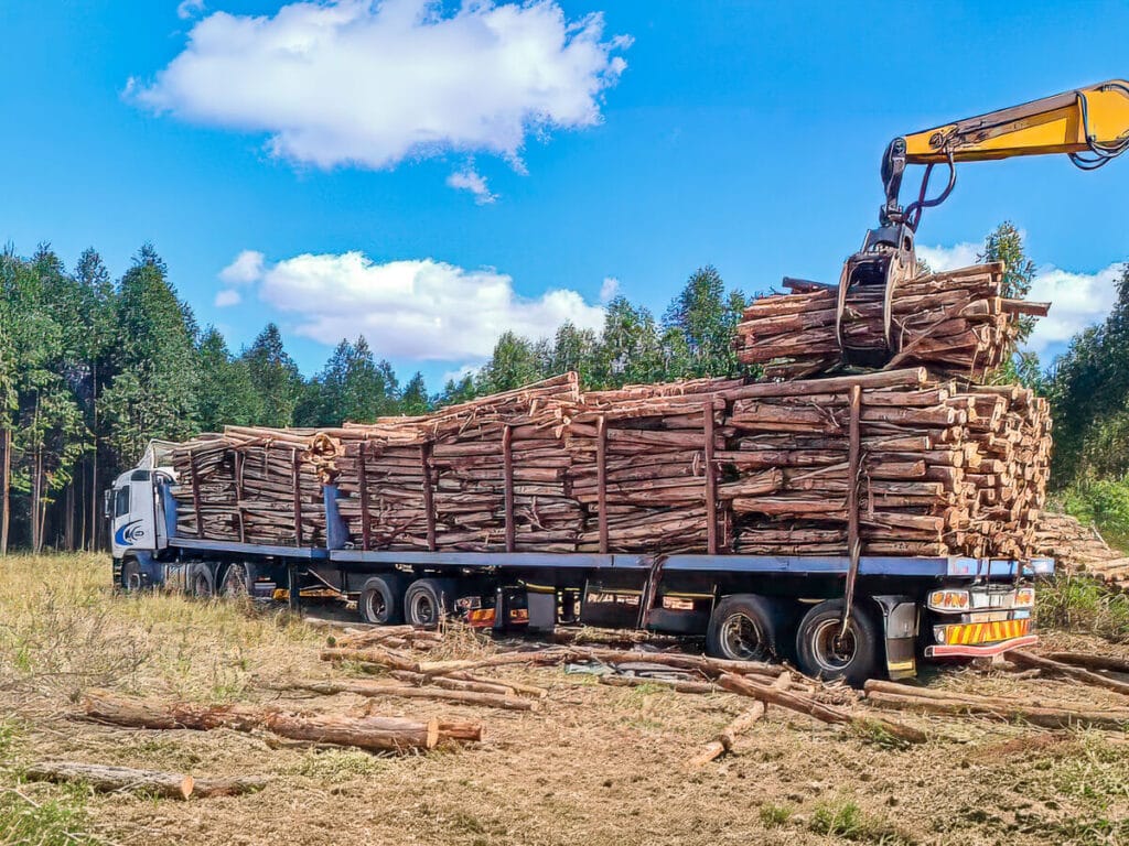 Peeler logs being loaded onto a truck for a local customer in M26, Sofala Province, Mozambique