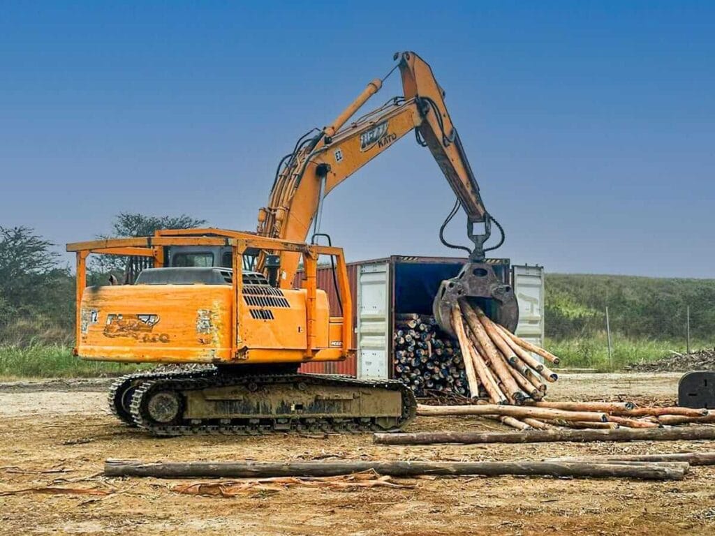 Toros de descasque da Moz Fibra a serem carregados em contentores na Beira, Moçambique, para exportação para a Índia e a China.